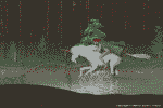The Virgin's Ride